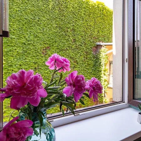 Spacious, & Artistic W/brand New Bathroom! * Cracovia